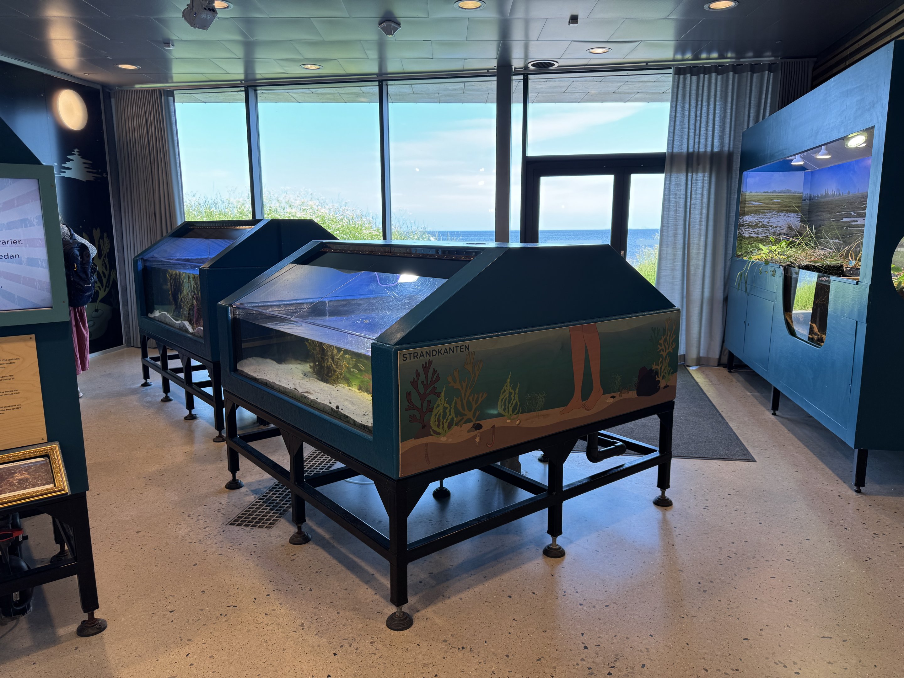 Main room (Naturum Östersund / Marine Education Center)