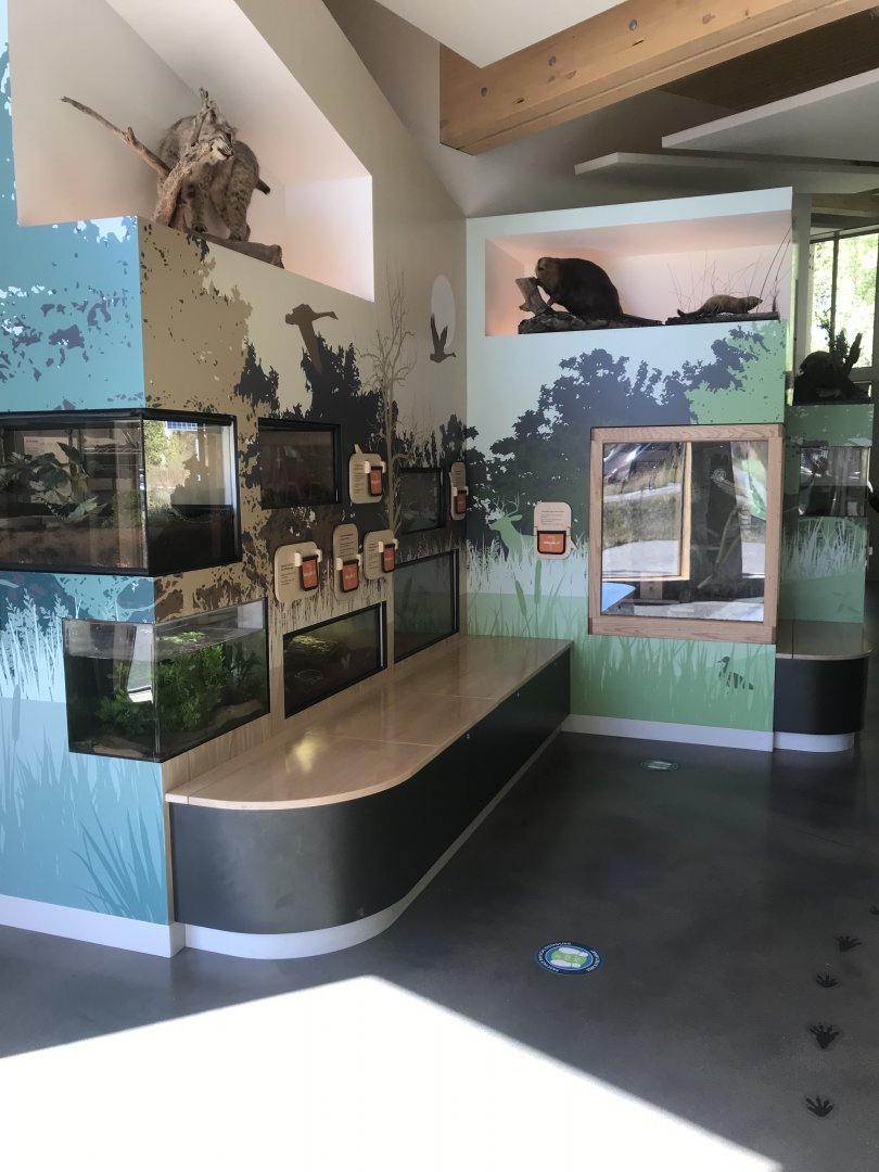 Main Room- Terrariums