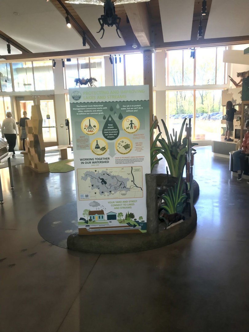 Main Room - Wetlands Display