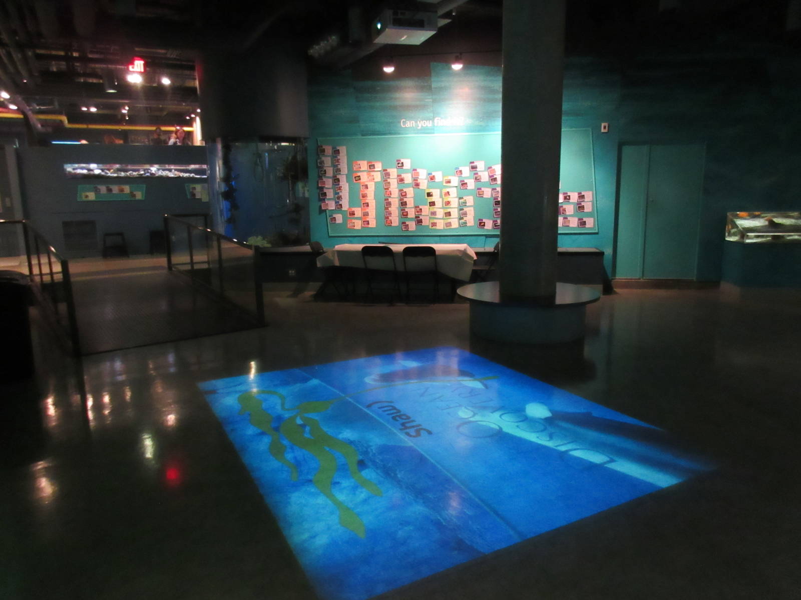 Main Room (with screen image on floor)