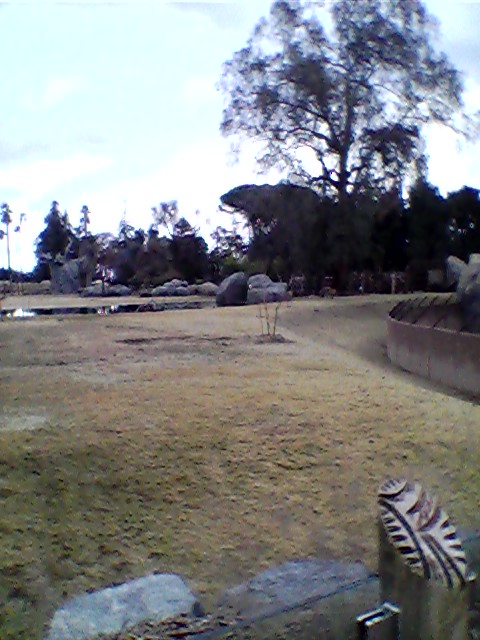 Main savanna exhibit