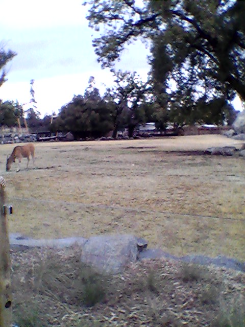 Main savanna overlook