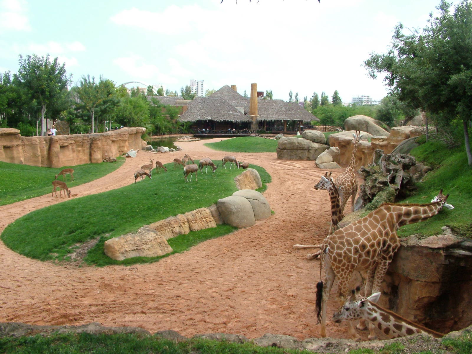 Main Savannah at Bioparc Valencia, 28/05/11