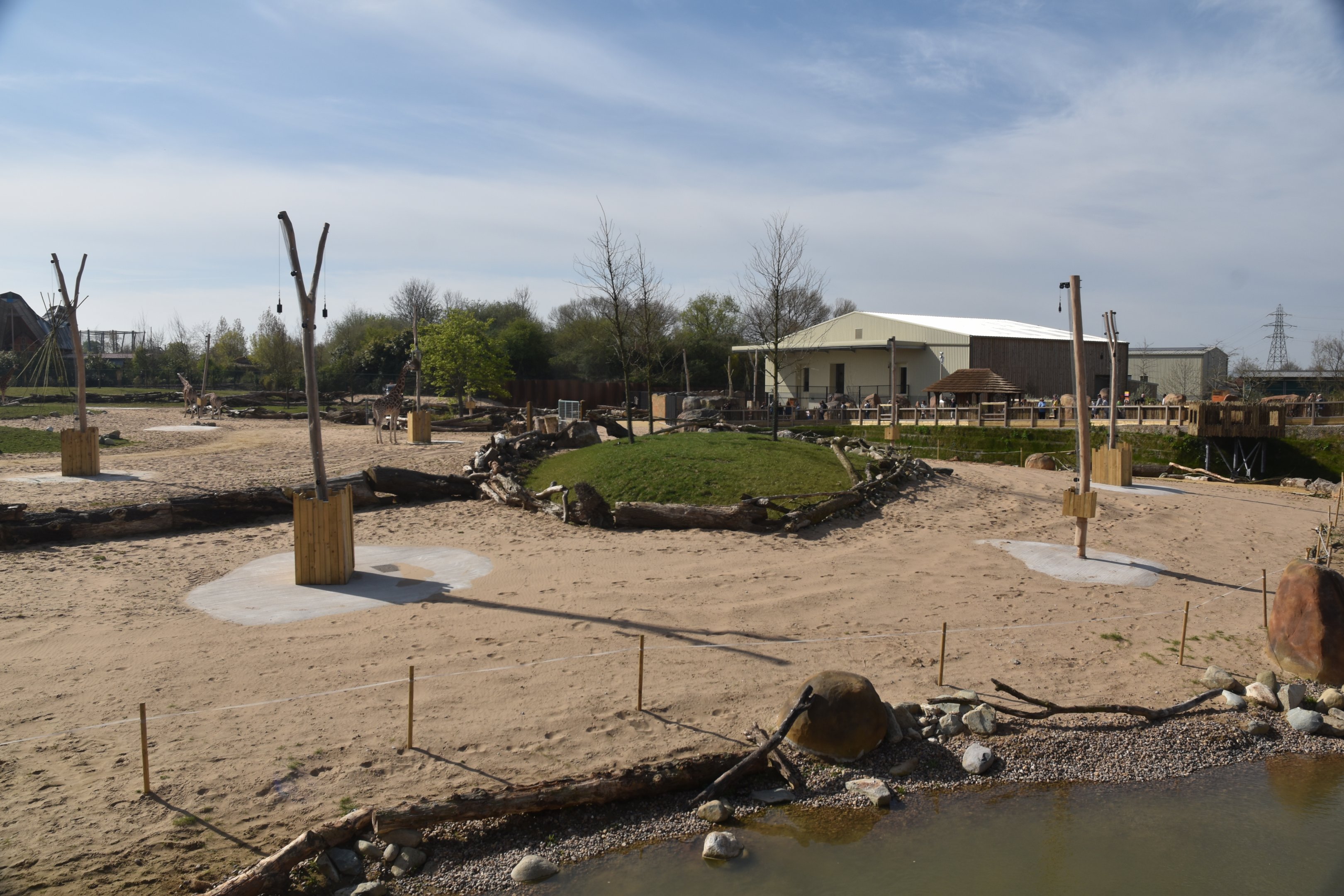 Main Savannah, Heart of Africa at Chester, 12th April 2025