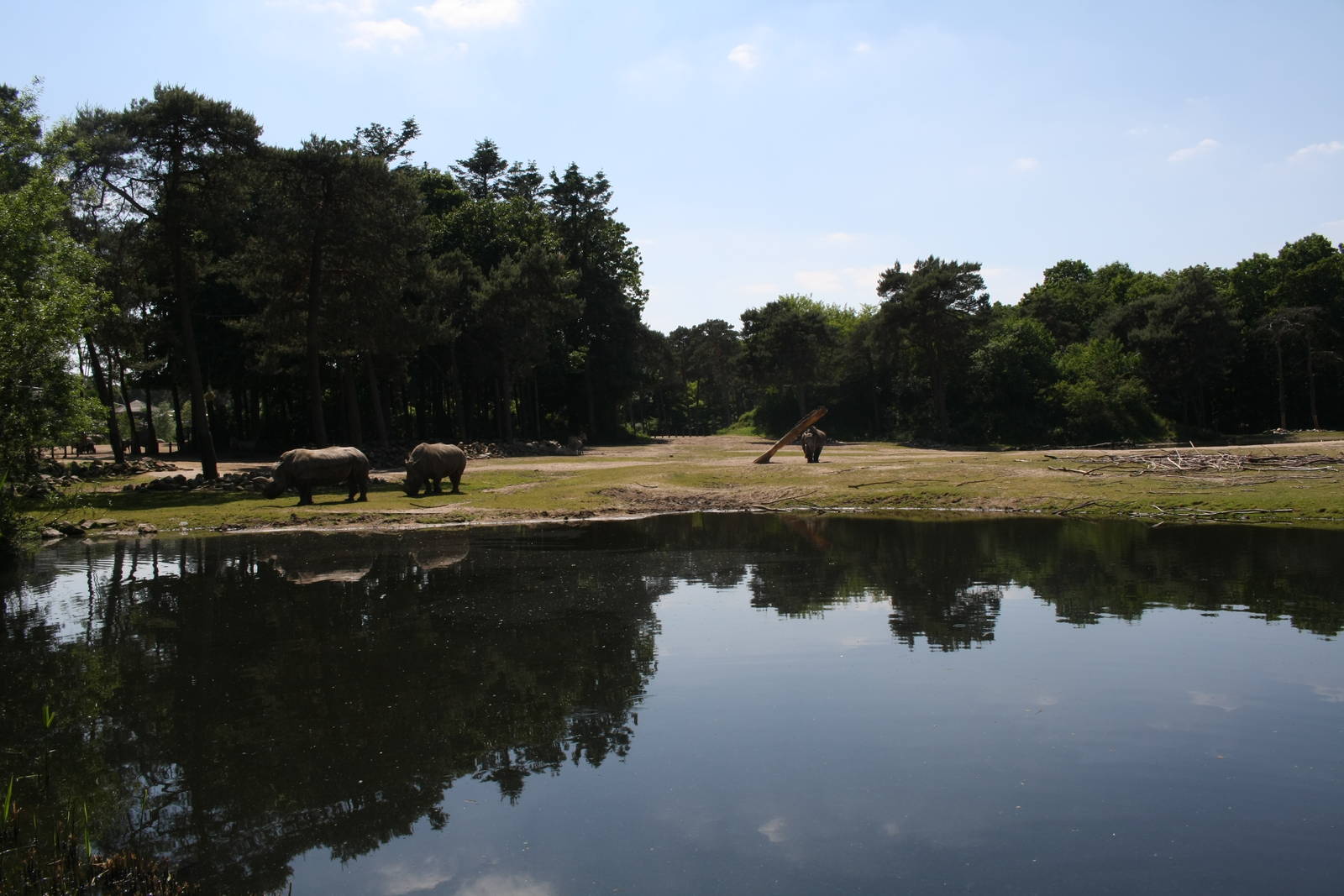 Main Savannah Paddock