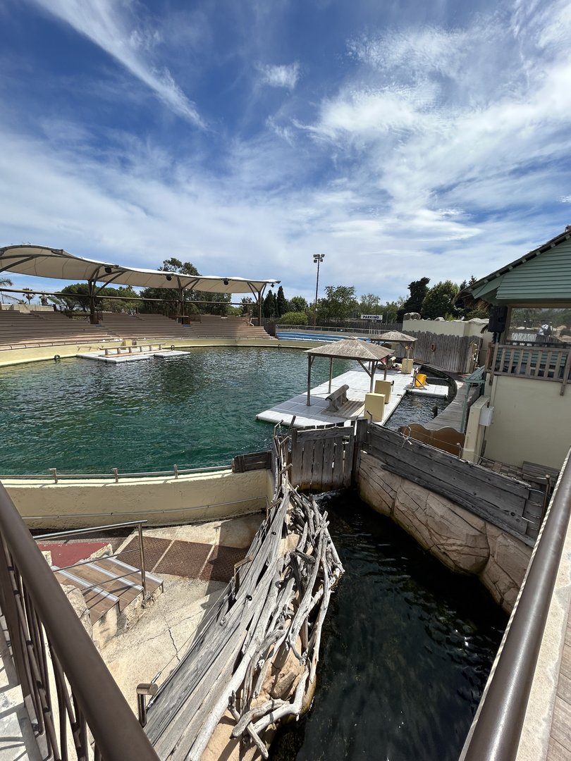 Main Sea Lion show pool and connecting ‘race’