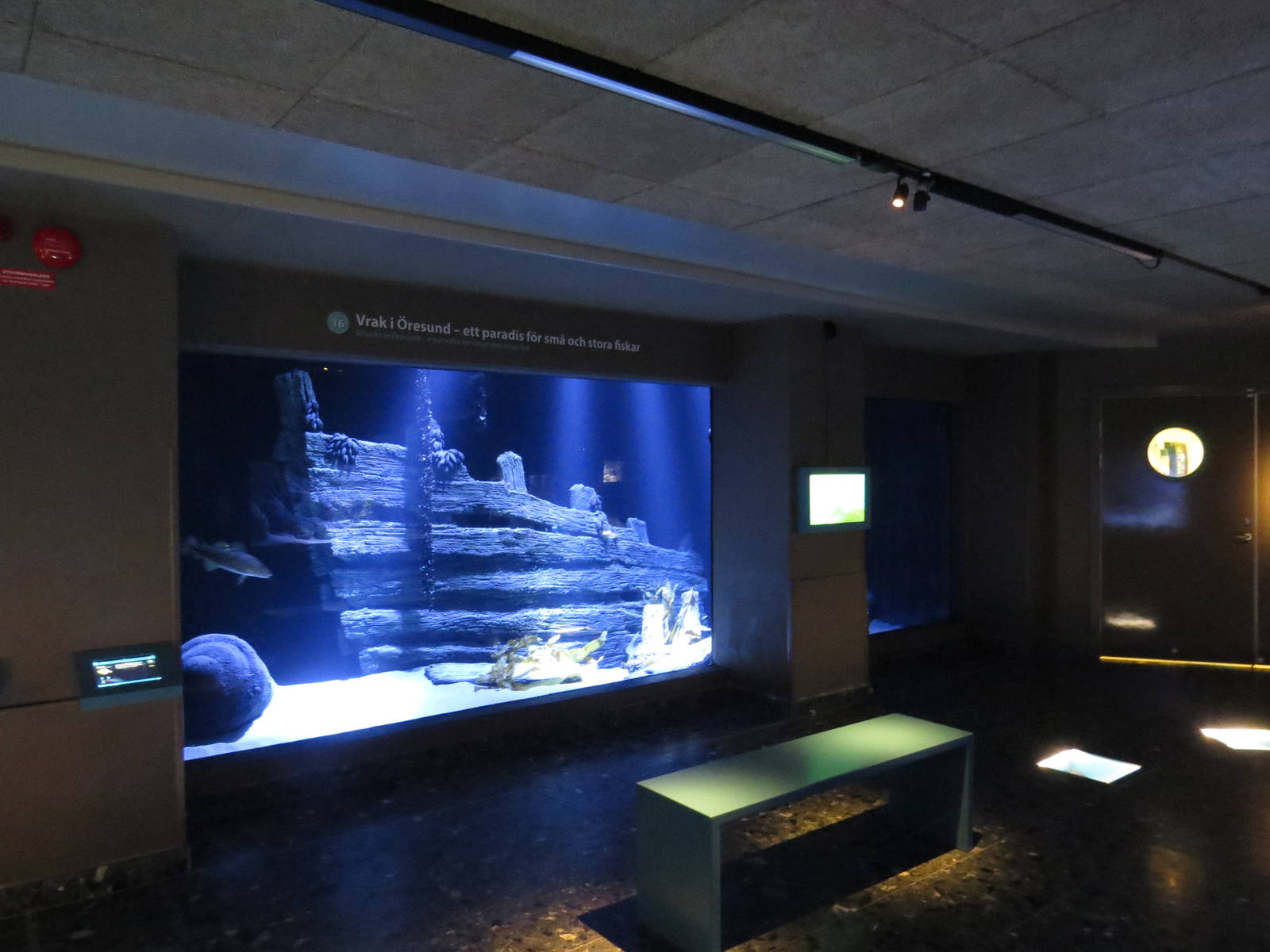 Main sea tank, June 2015