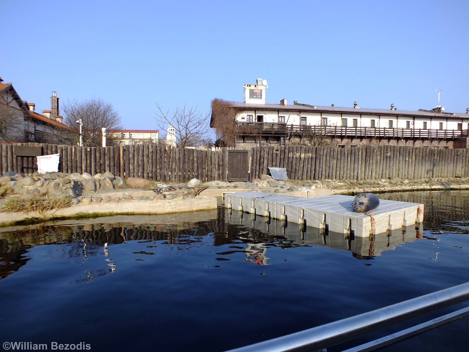 Main Seal Pool - Hel Fokarium
