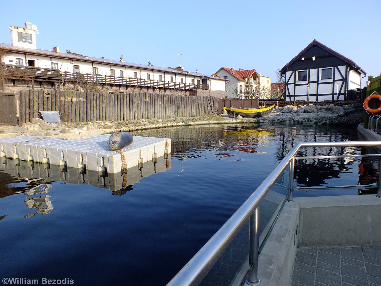 Main Seal Pool - Hel Fokarium