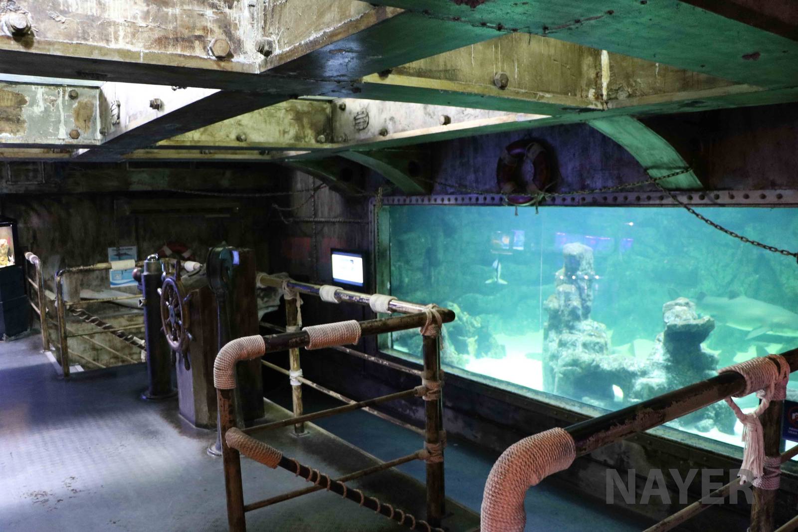 Main shark tank, April 2016