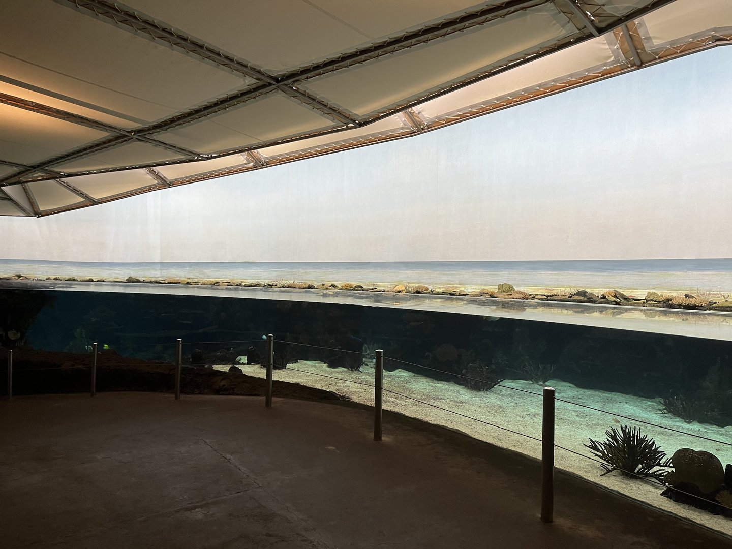 Main shore tank 6.7.23