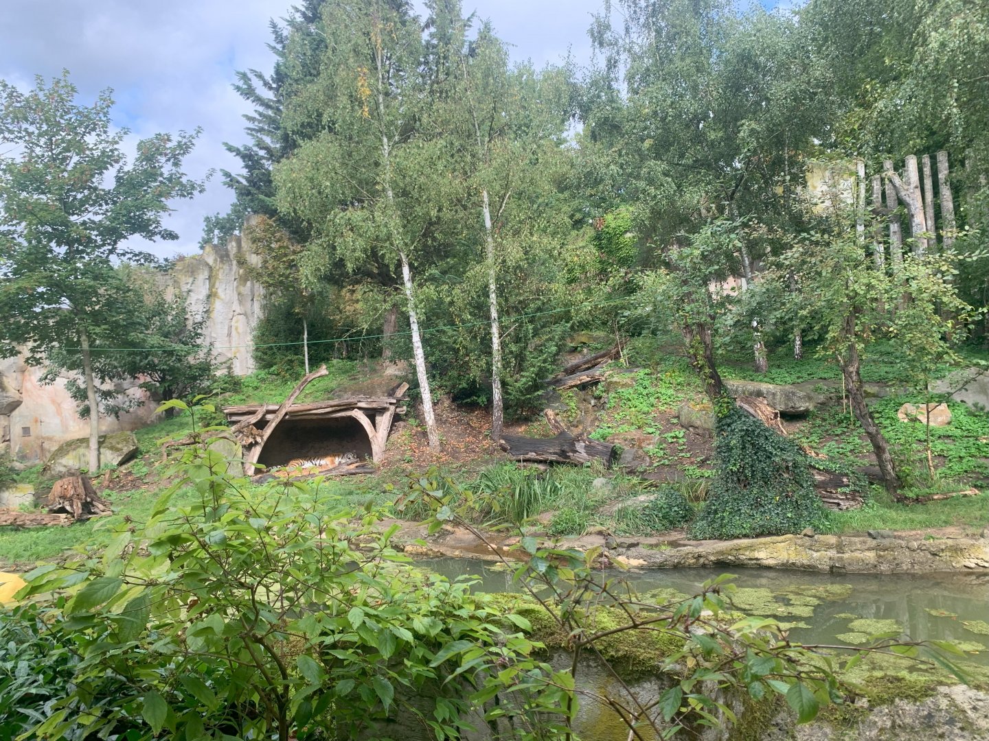 Main Siberian Tiger enclosure - Taiga