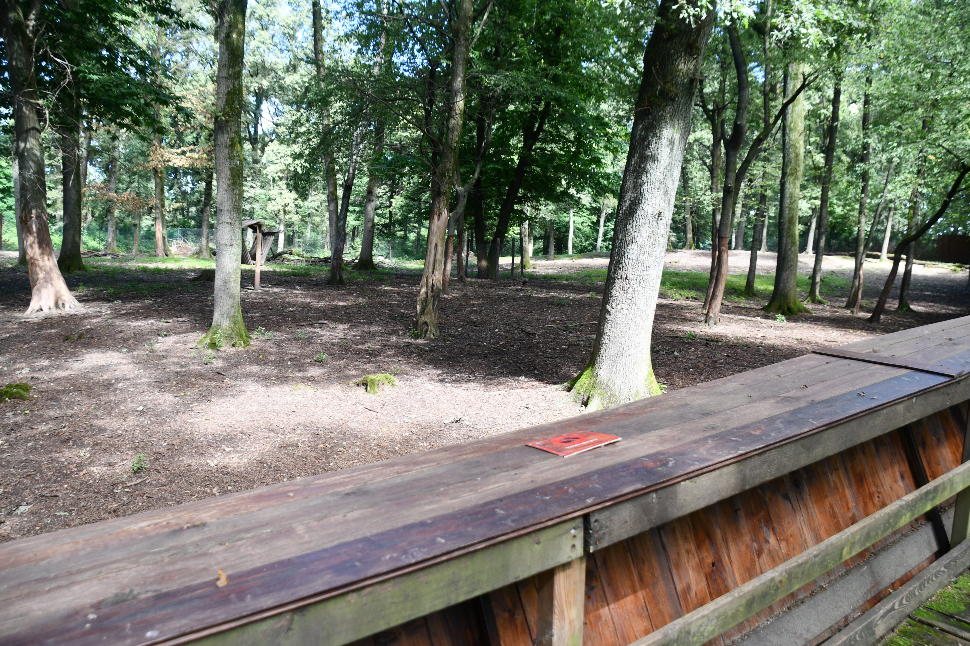 main Siberian Wapiti exhibit