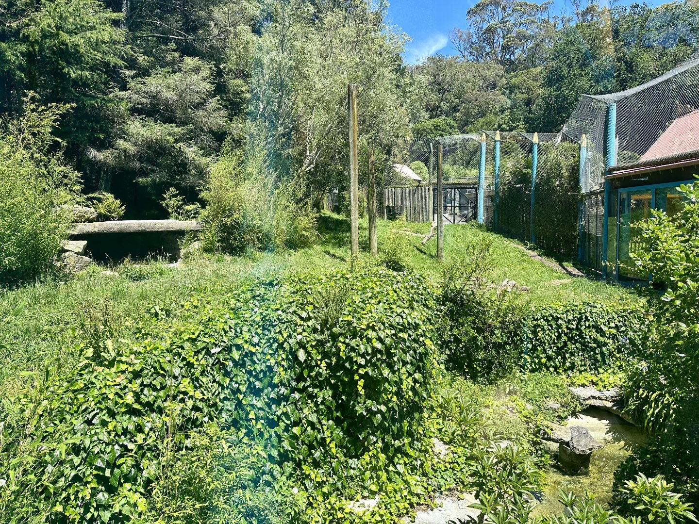 Main Sumatran Tiger Exhibit