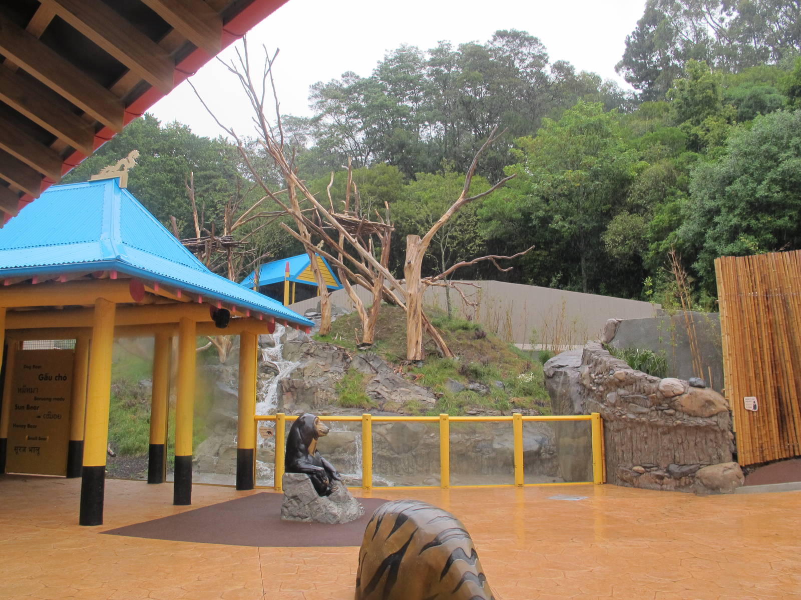 Main Sun Bear Exhibit - Wellington Zoo 2013