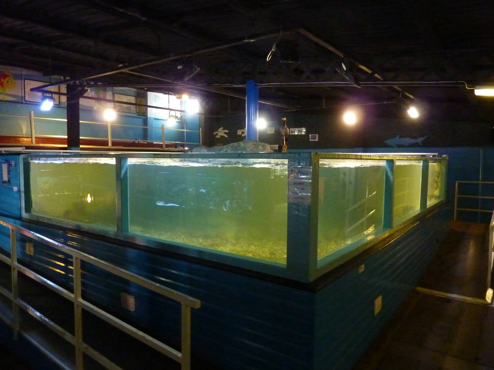 Main tank - 24th August 2012