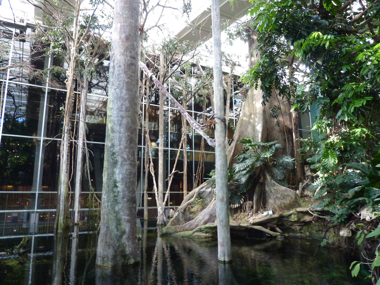 Main tank, 7th April 2012.