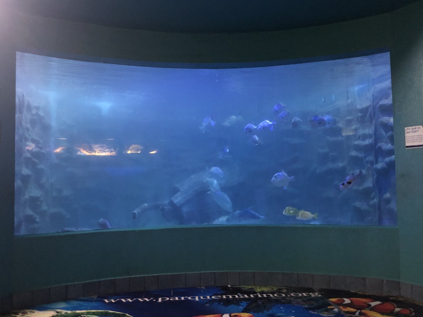 Main tank in Aquarium building (Parque Marino del Pacifico)