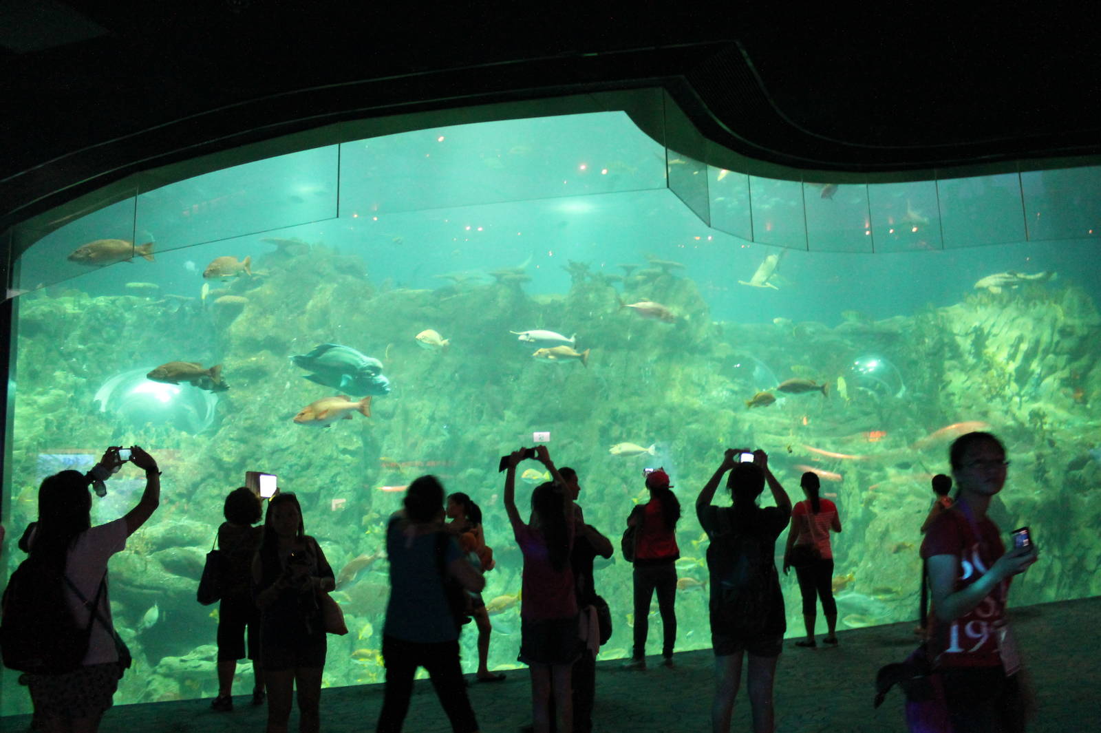 Main tank - June 2013