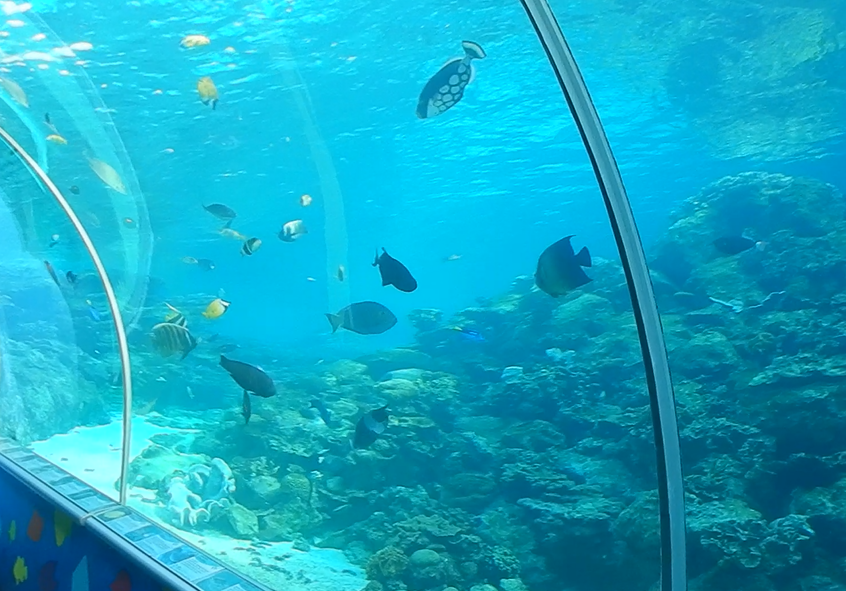 Main tank seen from the tunnel