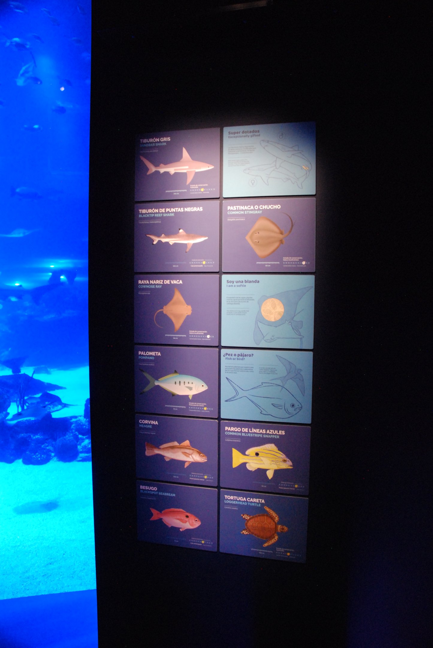 Main Tank Signage at Atlantis Aquarium Madrid, 20th May 2022