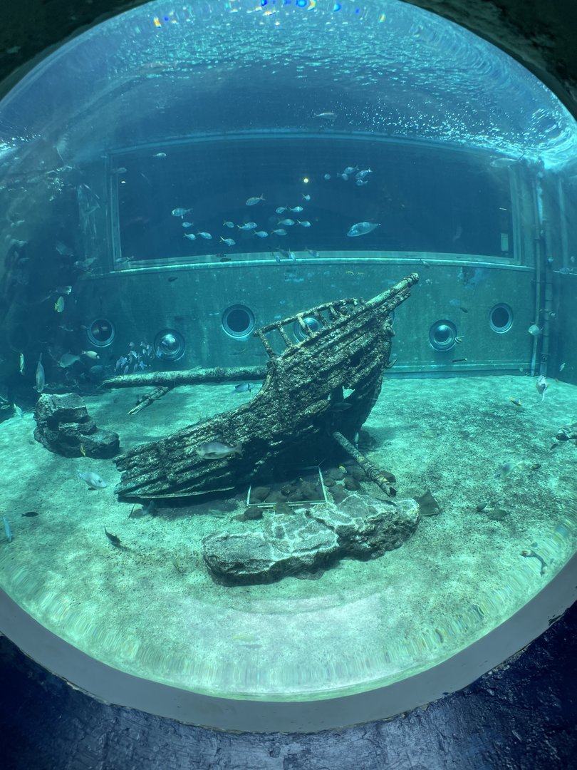 Main Tank Through Bubble View