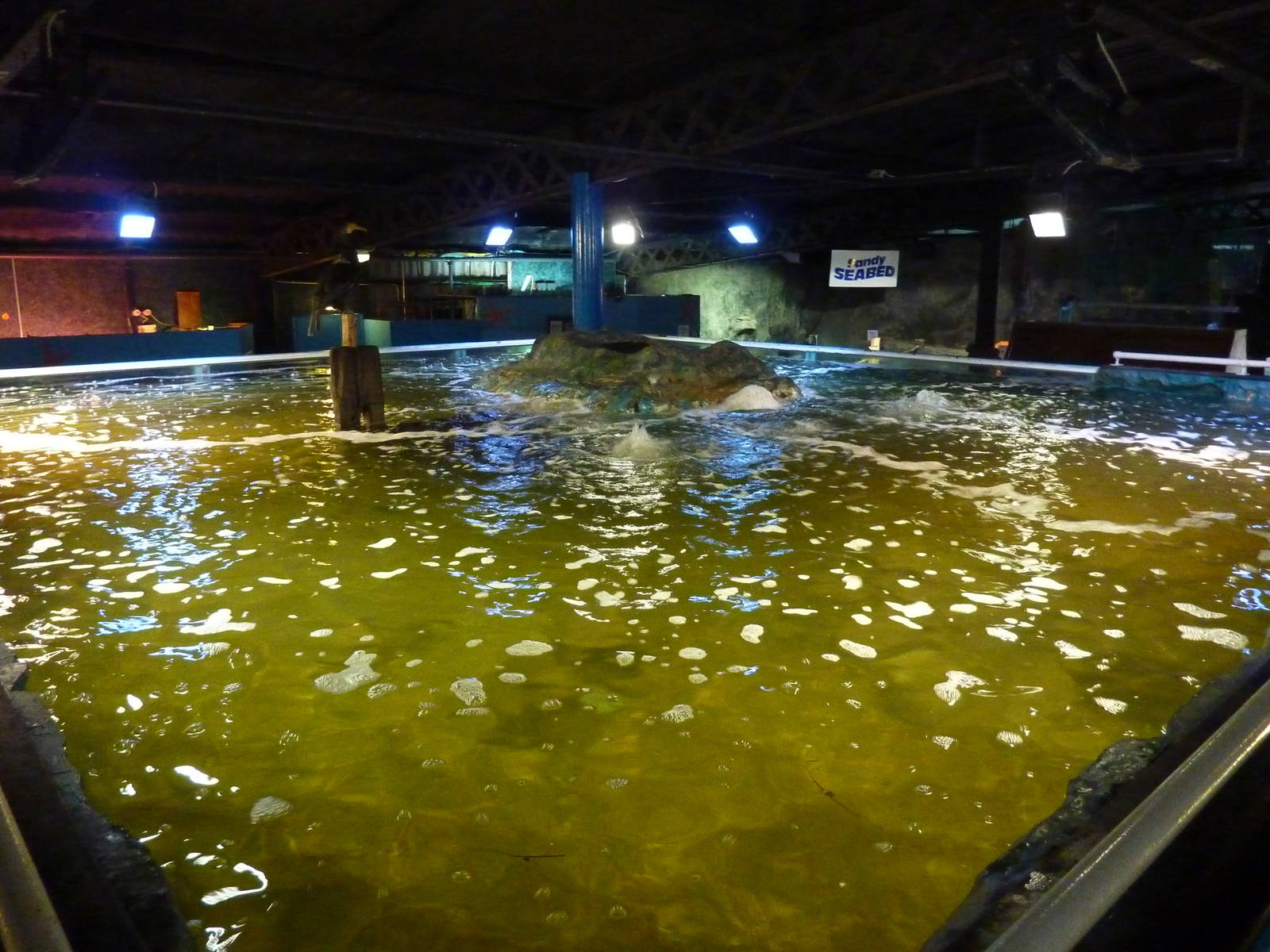 Main tank, view from above - 24th August 2012