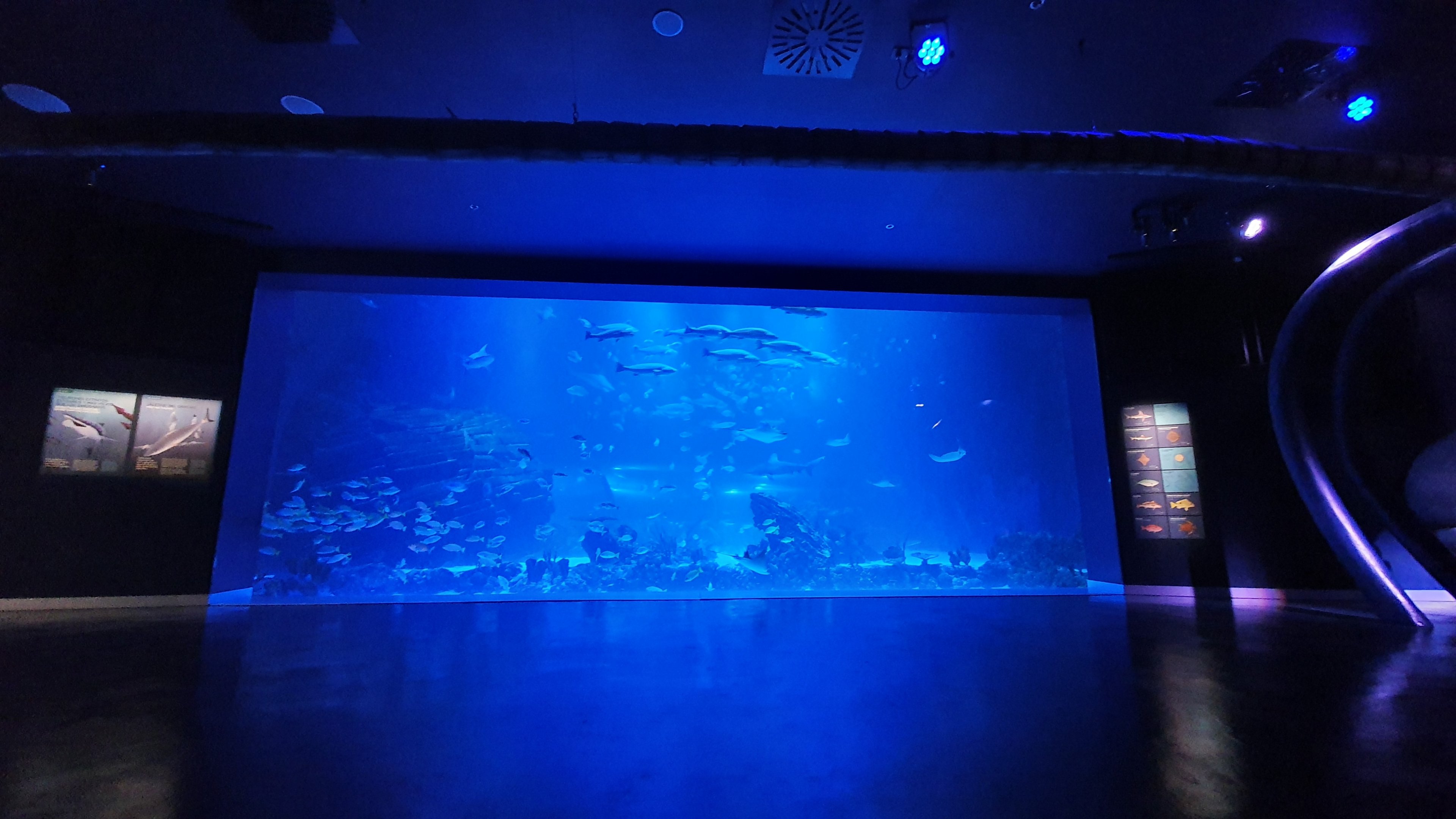 Main Tank View from Bean Bags at Atlantis Aquarium Madrid, 20th May 2022