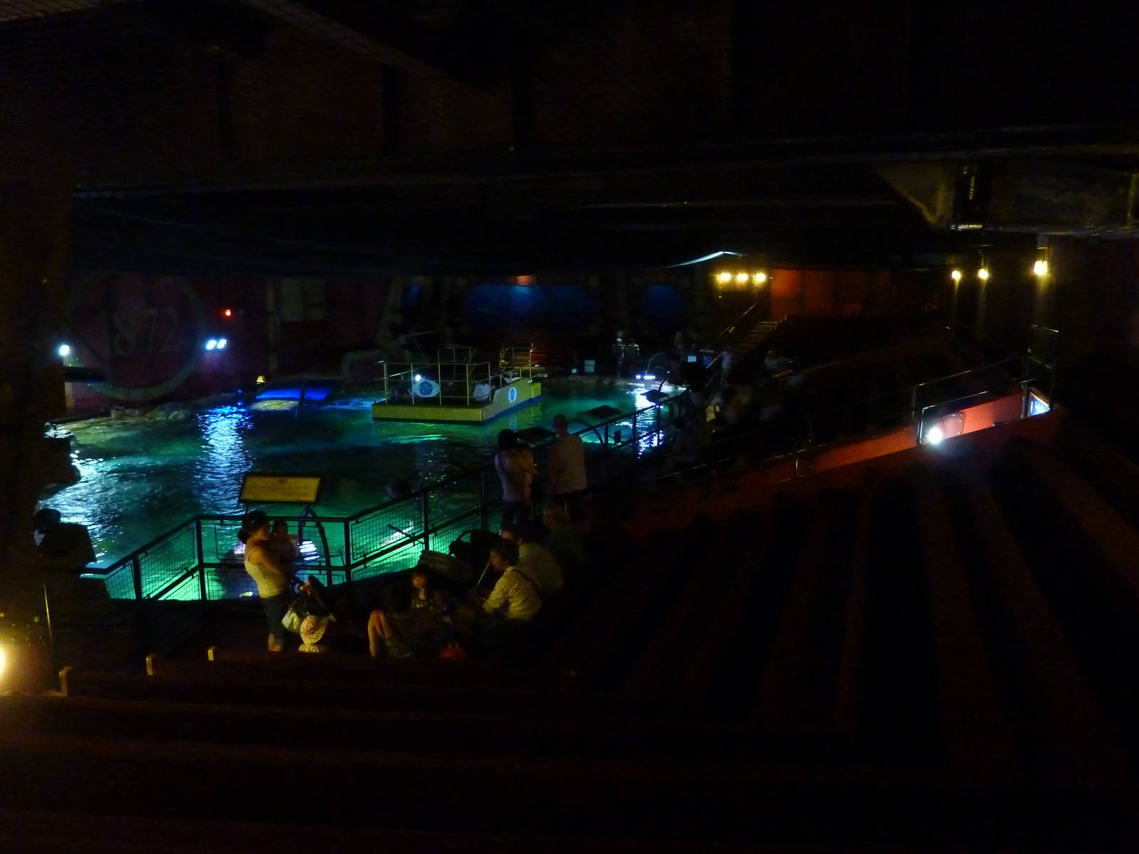 Main tank viewing area- 18th August 2012