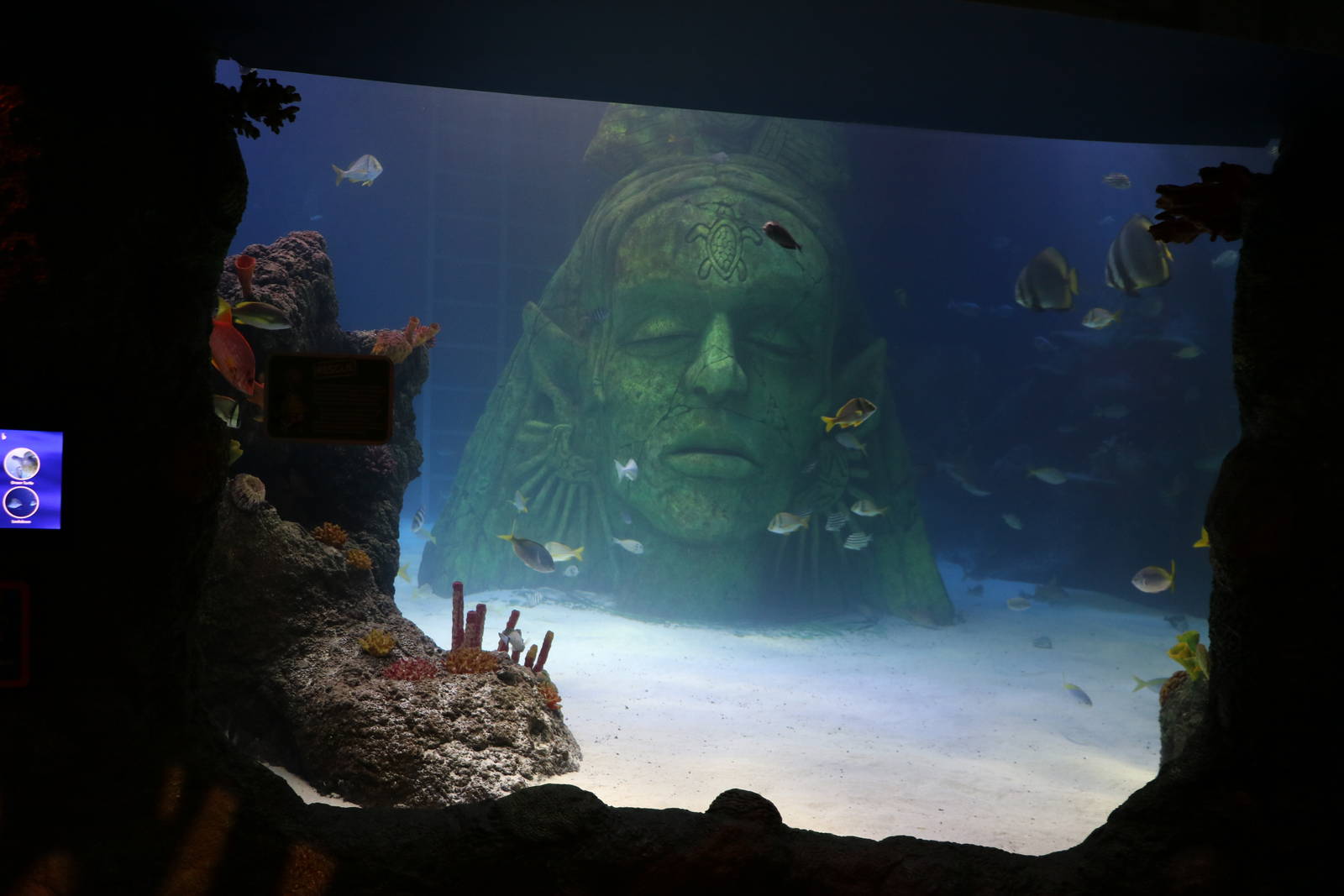 Main tank viewing window, September 2015