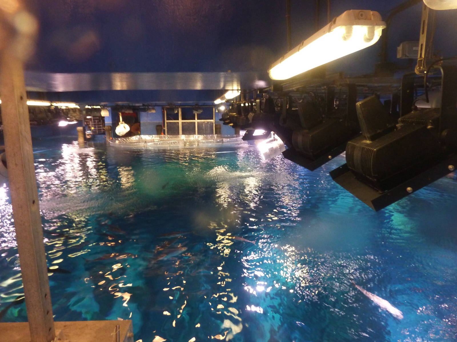 Main tank with quarantine area in the distance.