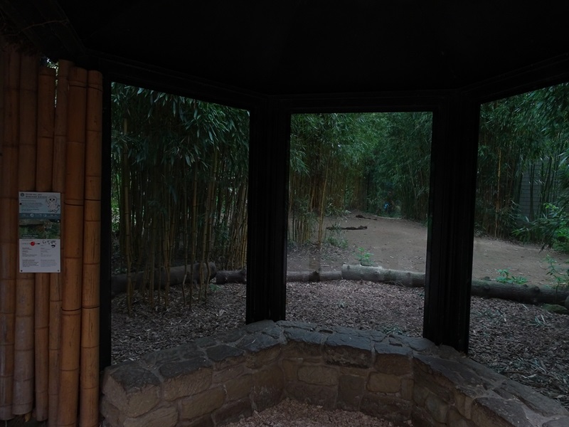 Main tiger enclosure