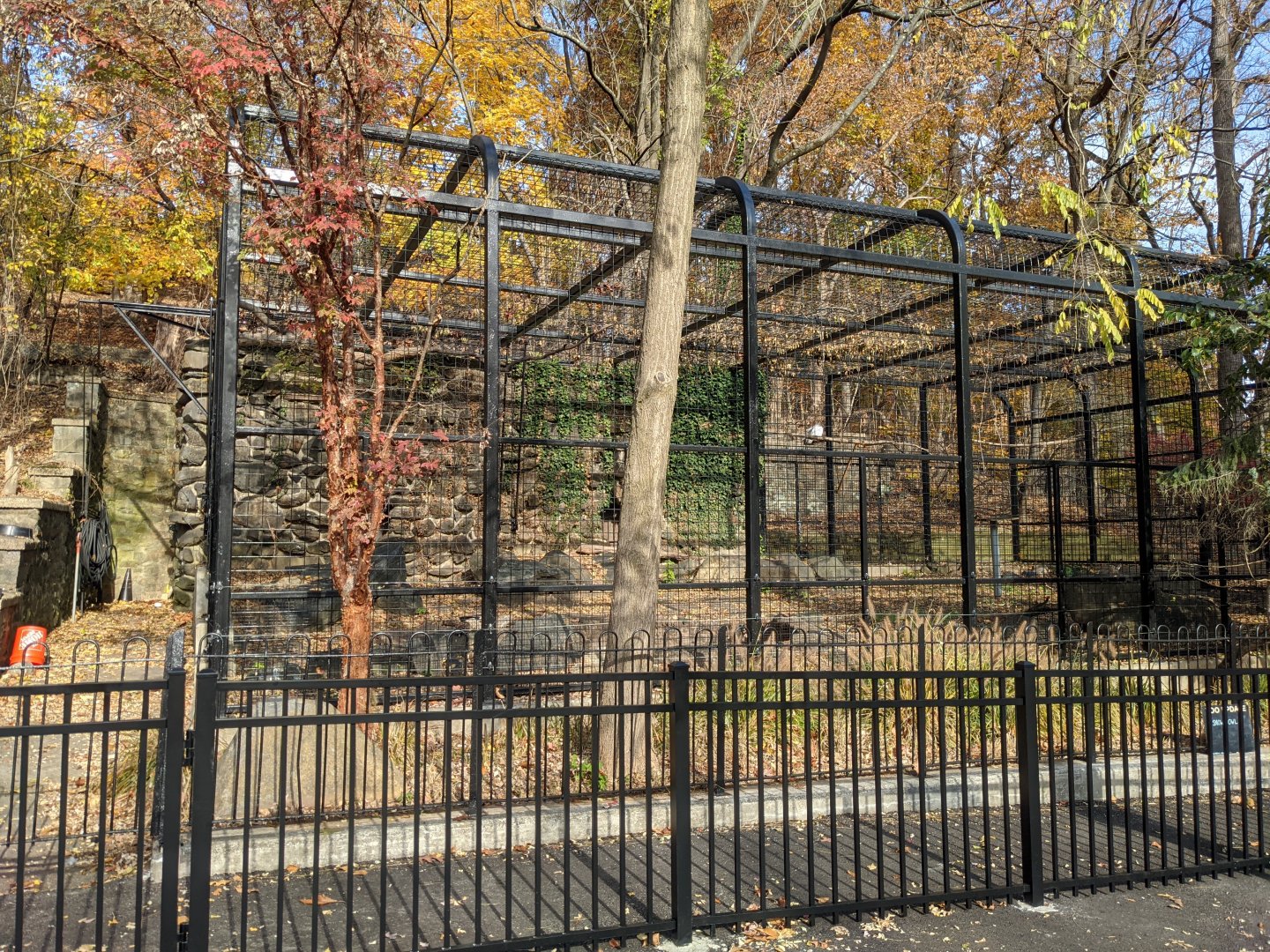 Main Valley - 1.0 Snowy owl