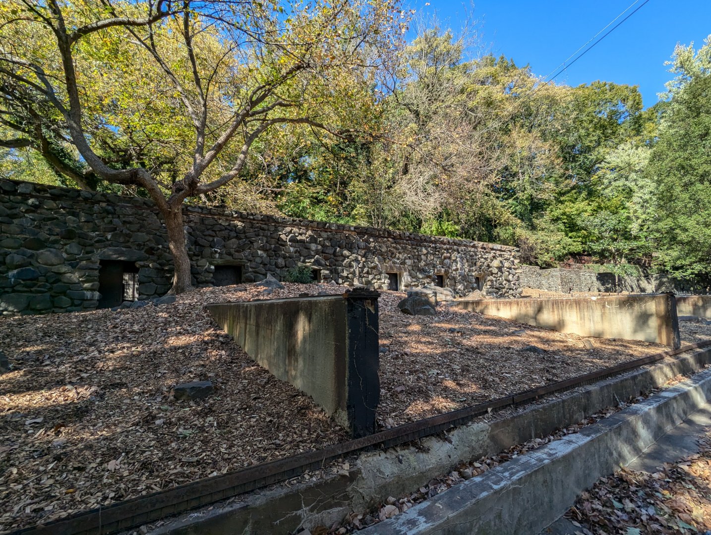 Main Valley - Fall 2024