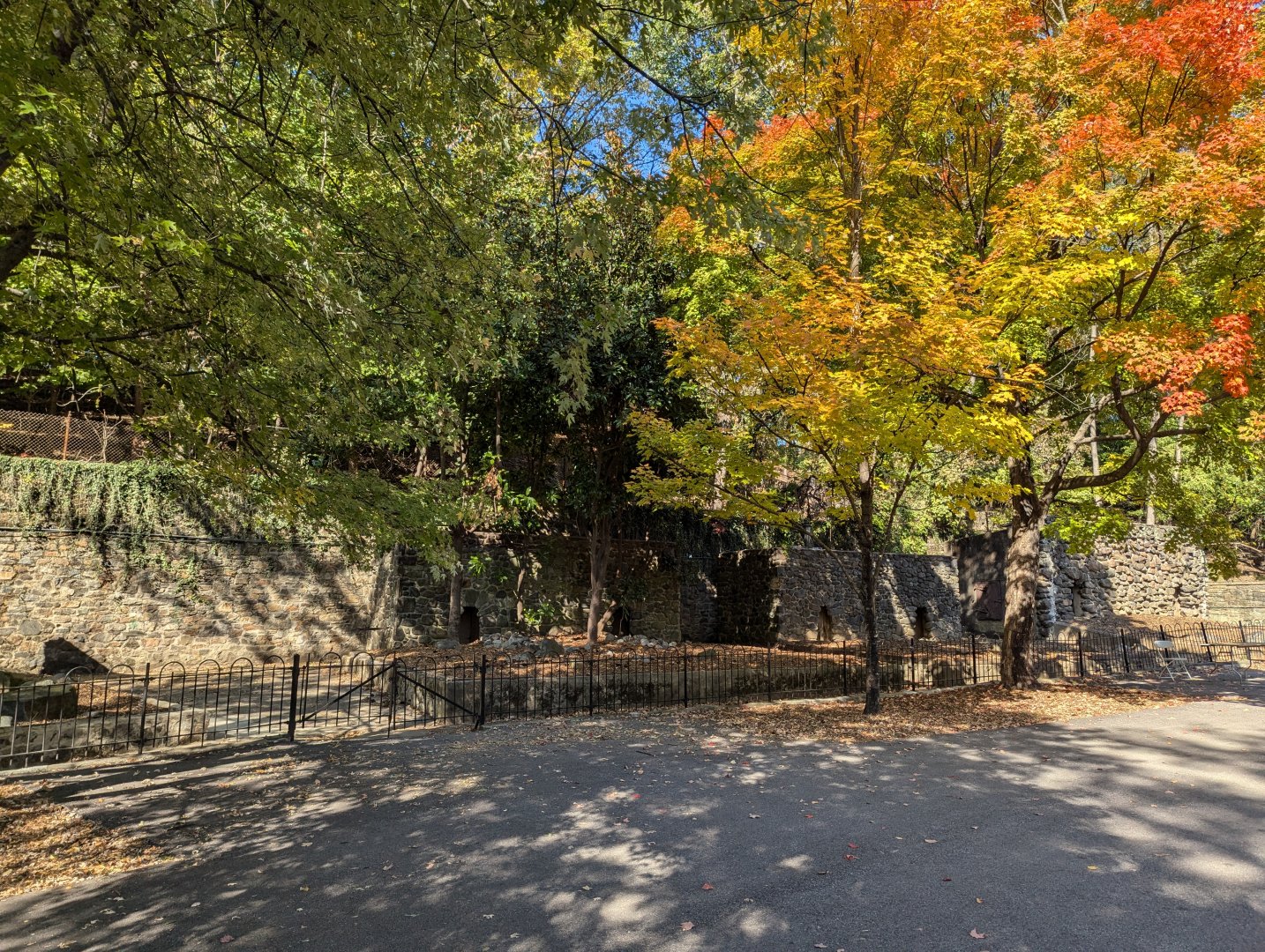 Main Valley - Fall 2024