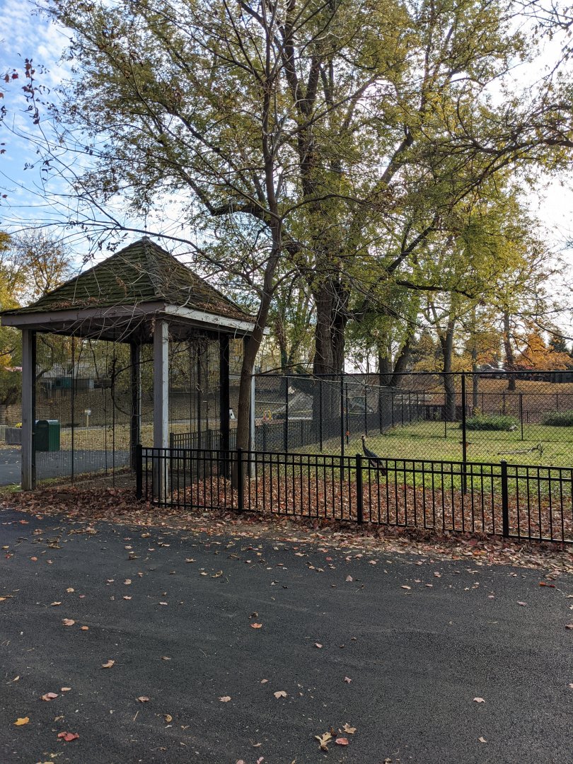 Main Valley - Rotational bird yard