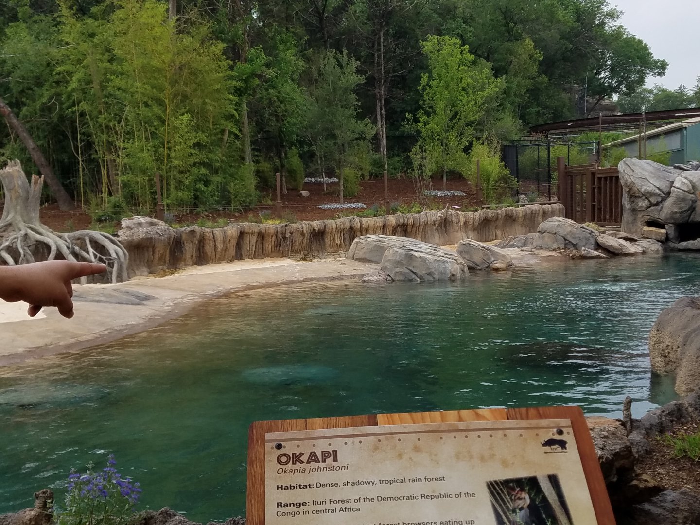 Main View of New Hippo Outpost