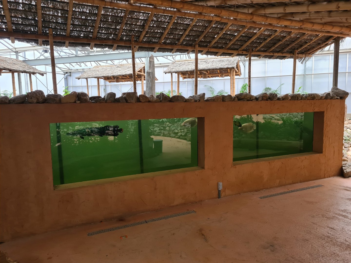 Main viewing window in Pankong river