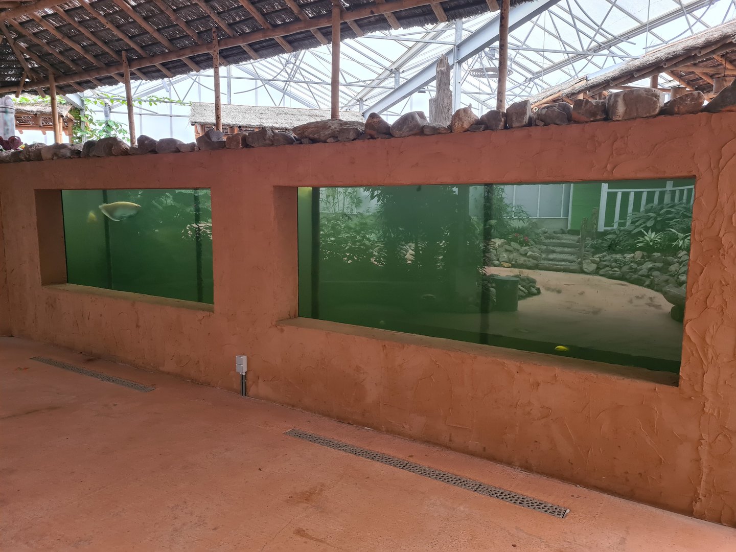 Main viewing window in Pankong river