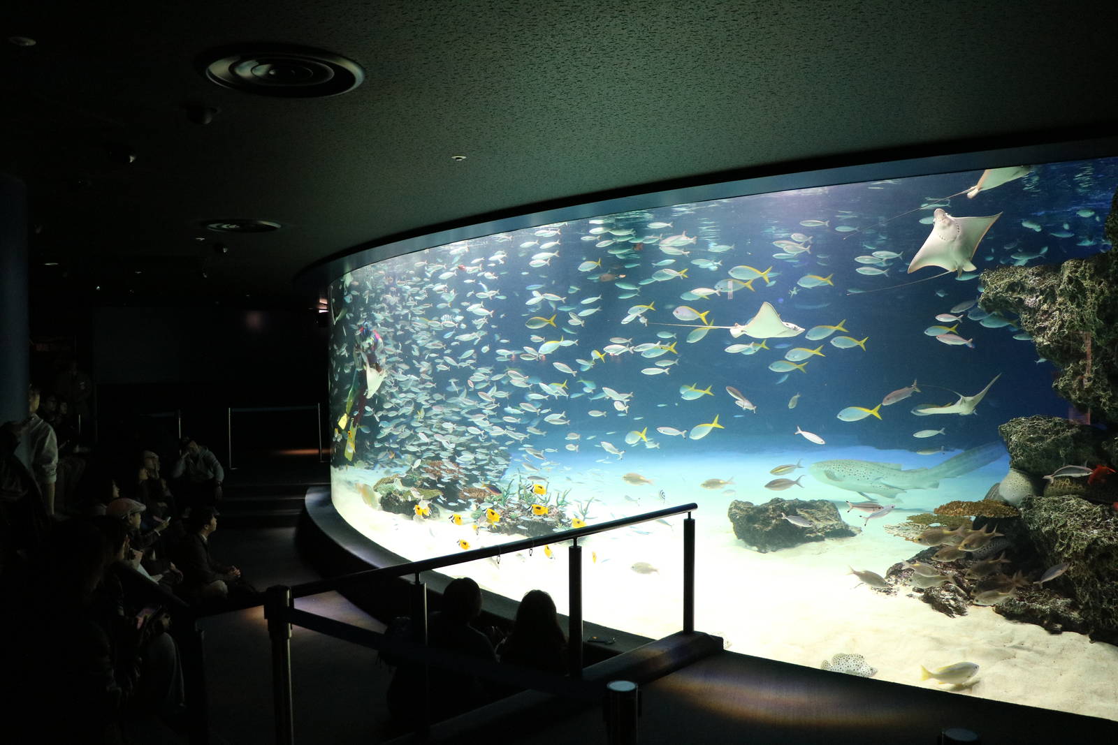 Main viewing window - Sunshine Aquarium Tokyo, February 2016