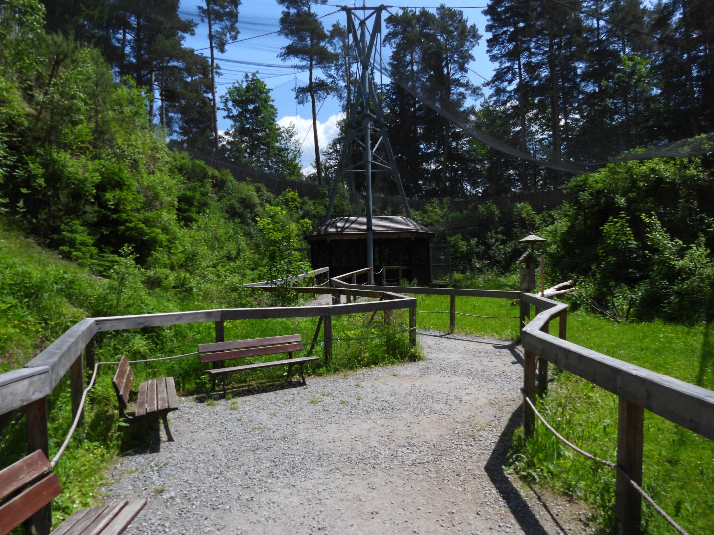 Main walkthrough for Tawny owl - Owl aviary at Borova Lada, nationalpark Sumava