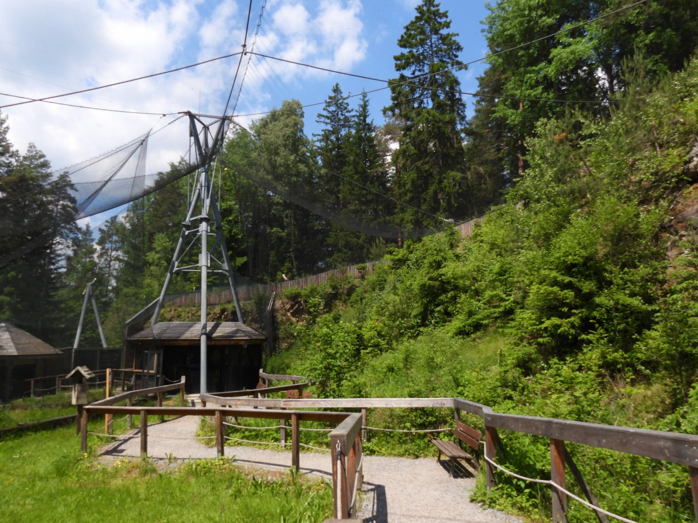 Main walkthrough for Tawny owl - Owl aviary at Borova Lada, nationalpark Sumava