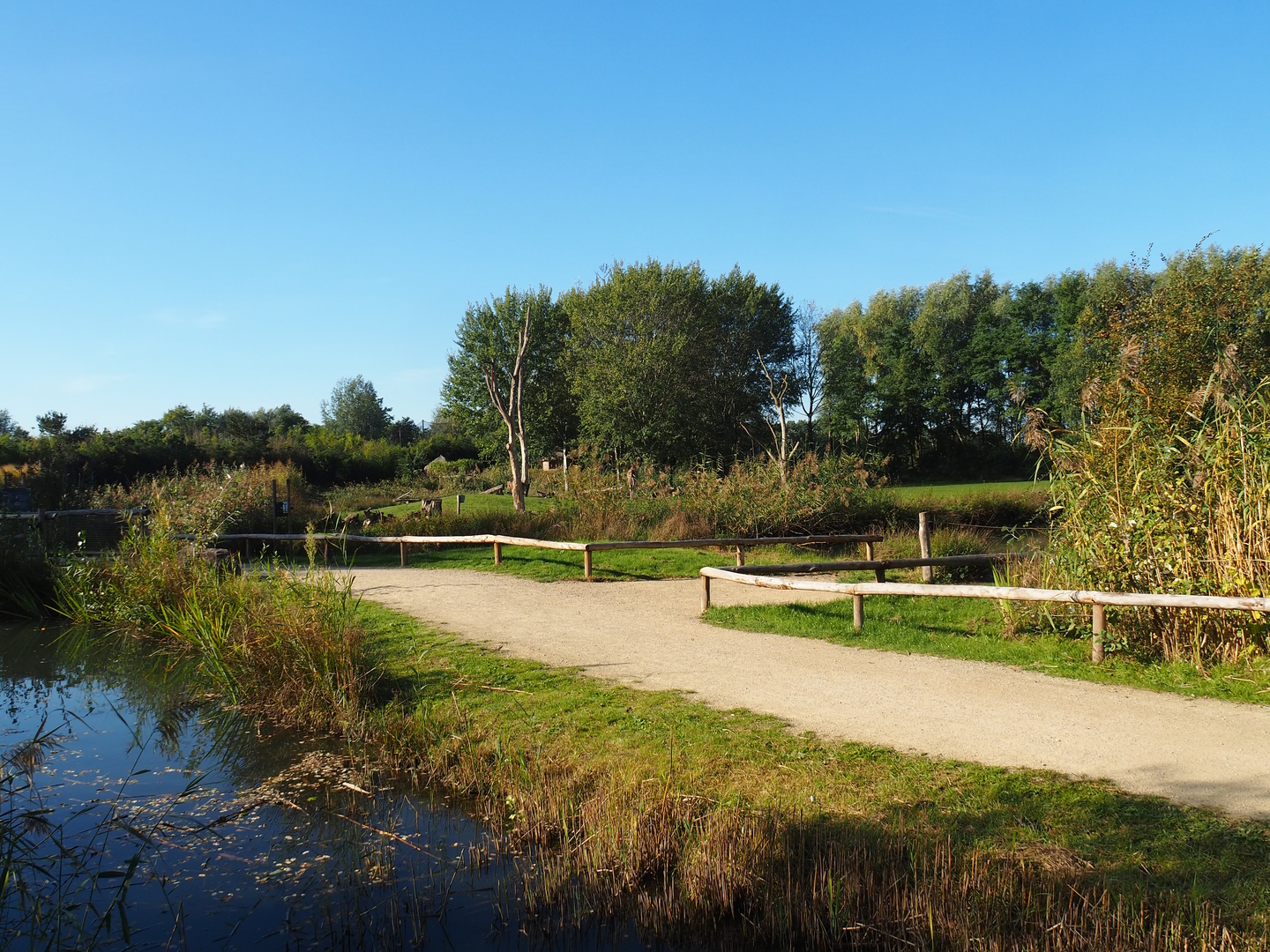 Main walkway and giraffe viewing area, 2022-10-09