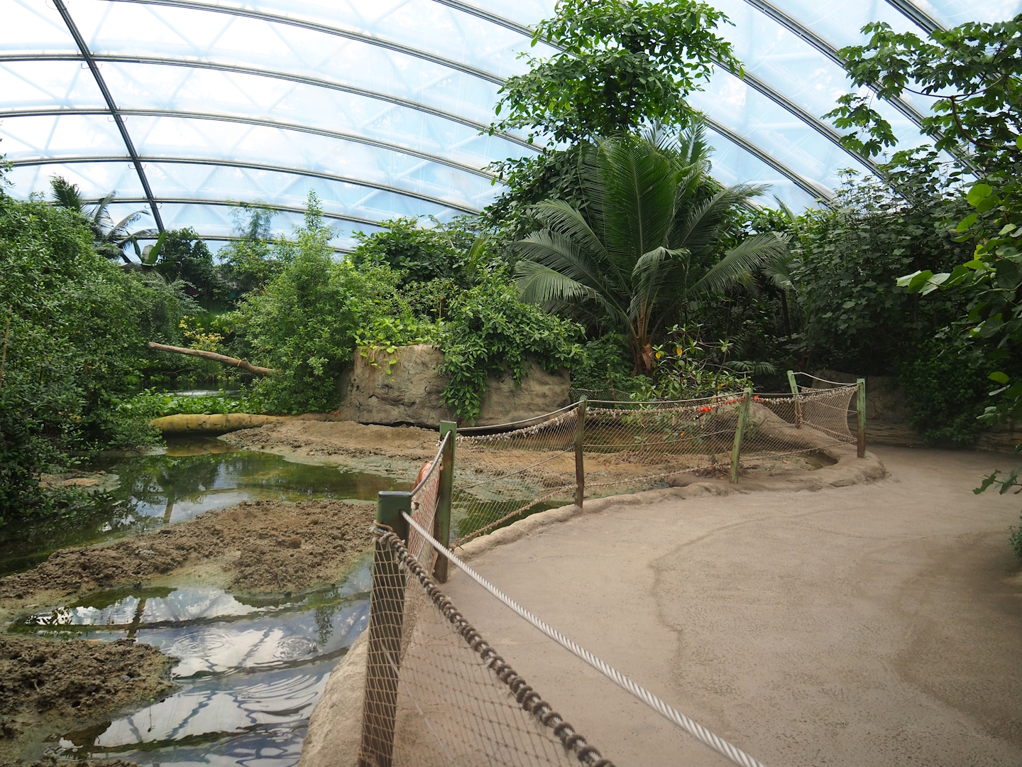 Main walkway and mangrove mudflats, 2023-10-07