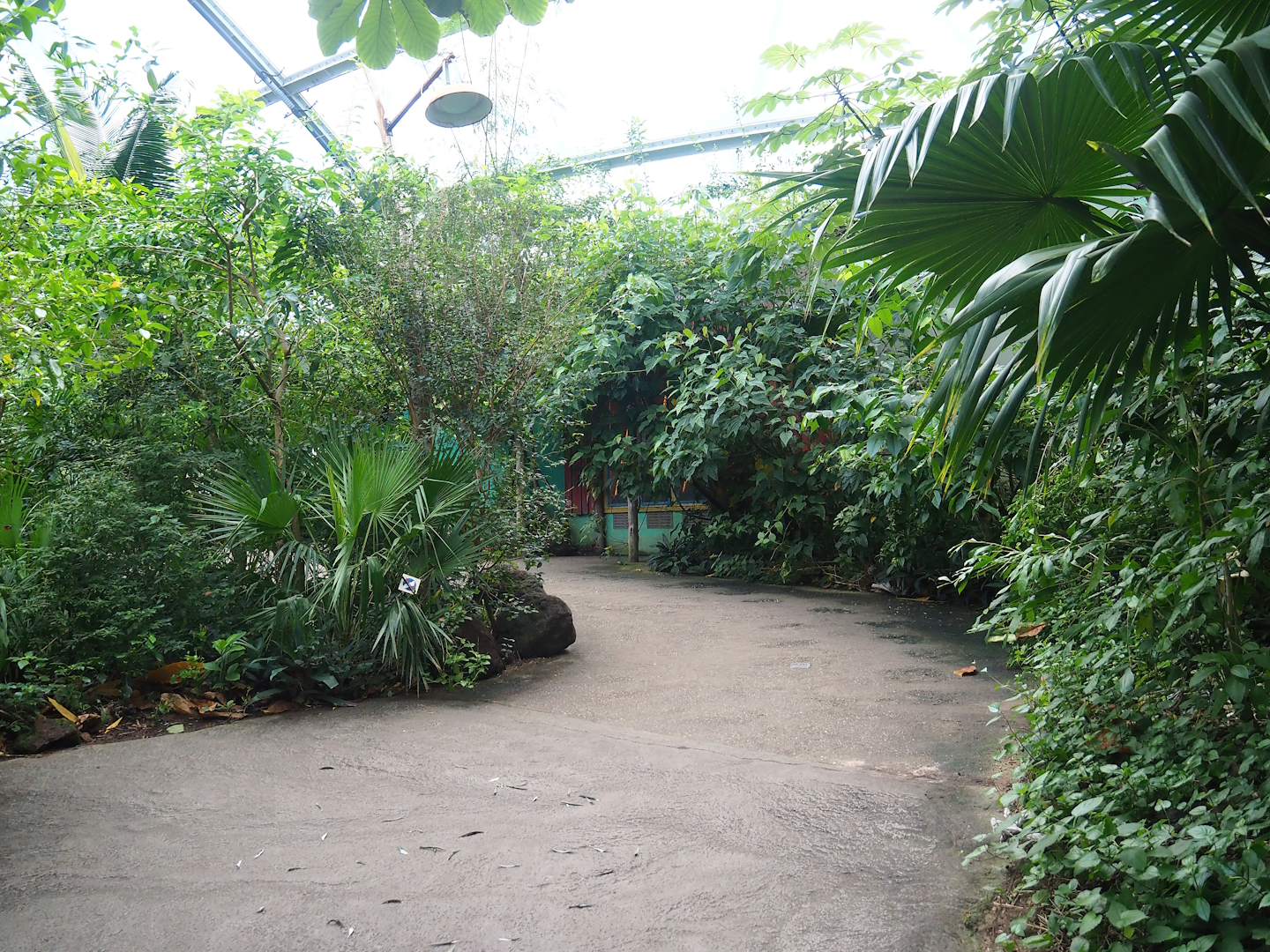 Main walkway in the Mangrove ecodisplay, 2023-10-07
