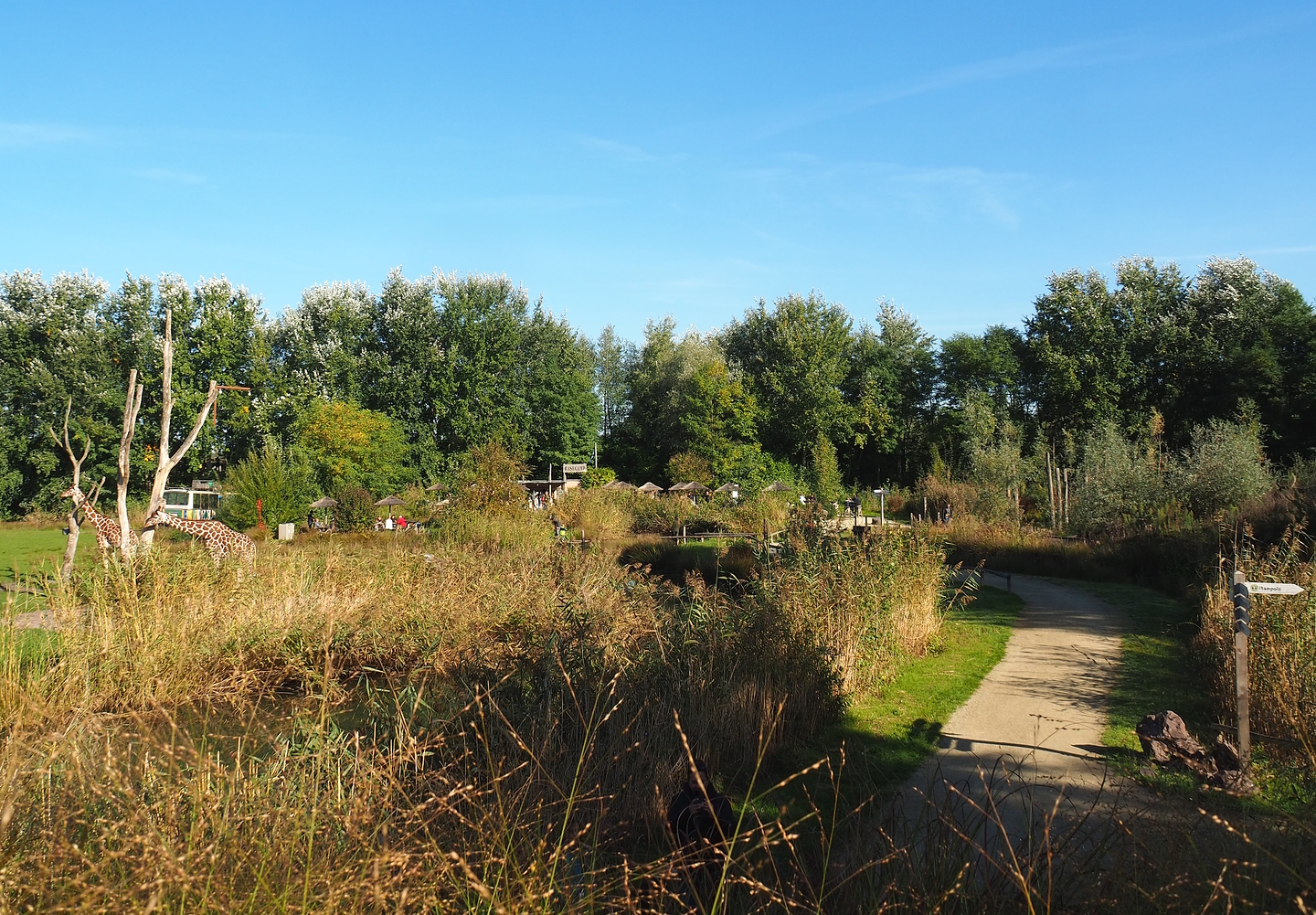 Main walkway near Reticulated giraffe, Zebu and De Brazza's guenon exhibit, 2022-10-09