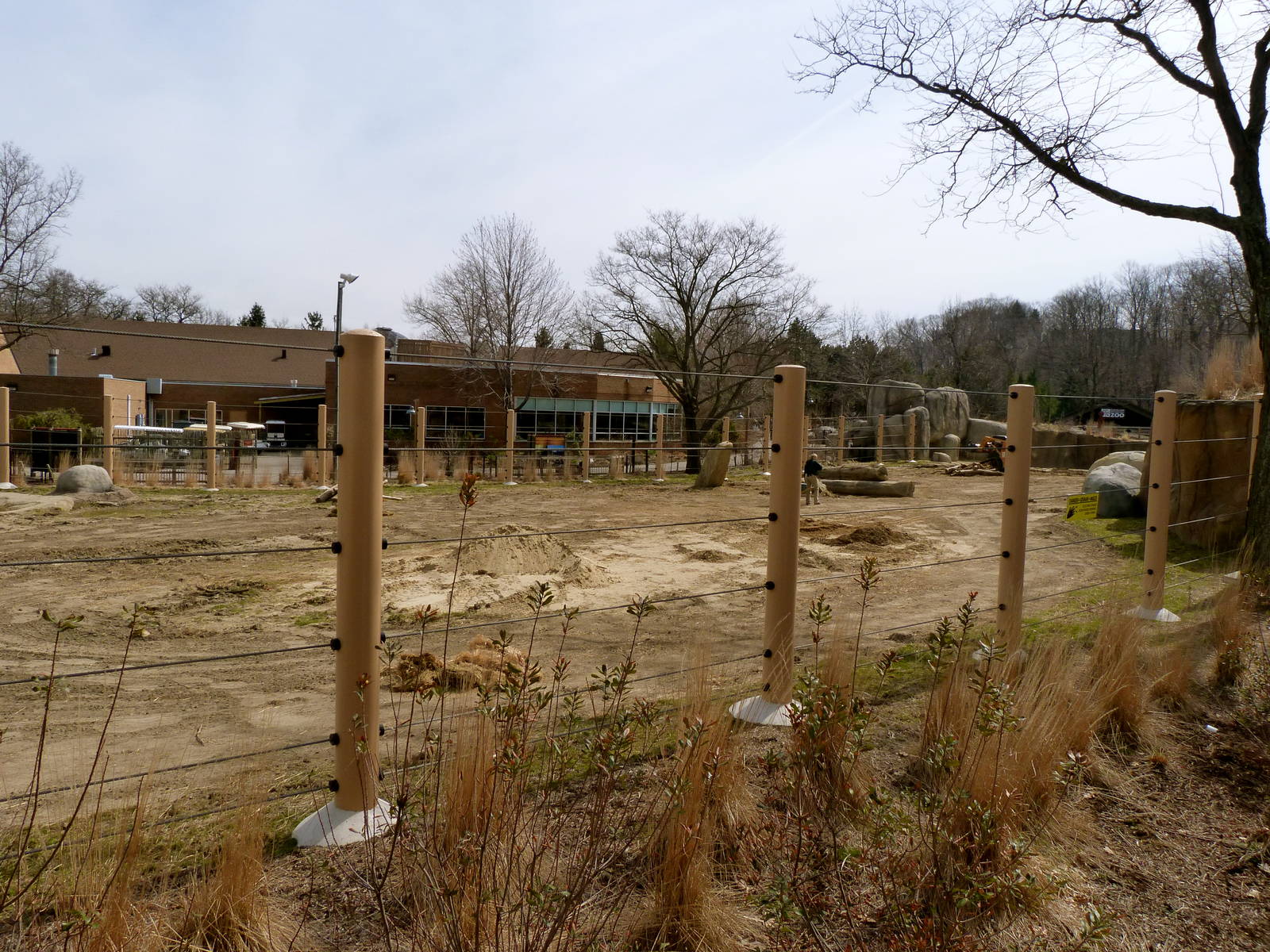 Main Yard (continued) - Elephant Crossing