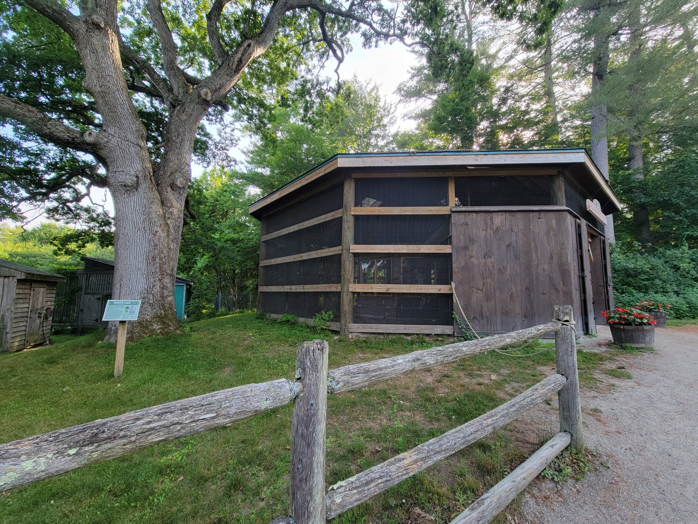 Maine Wildlife Park - Backyard Birds aviary