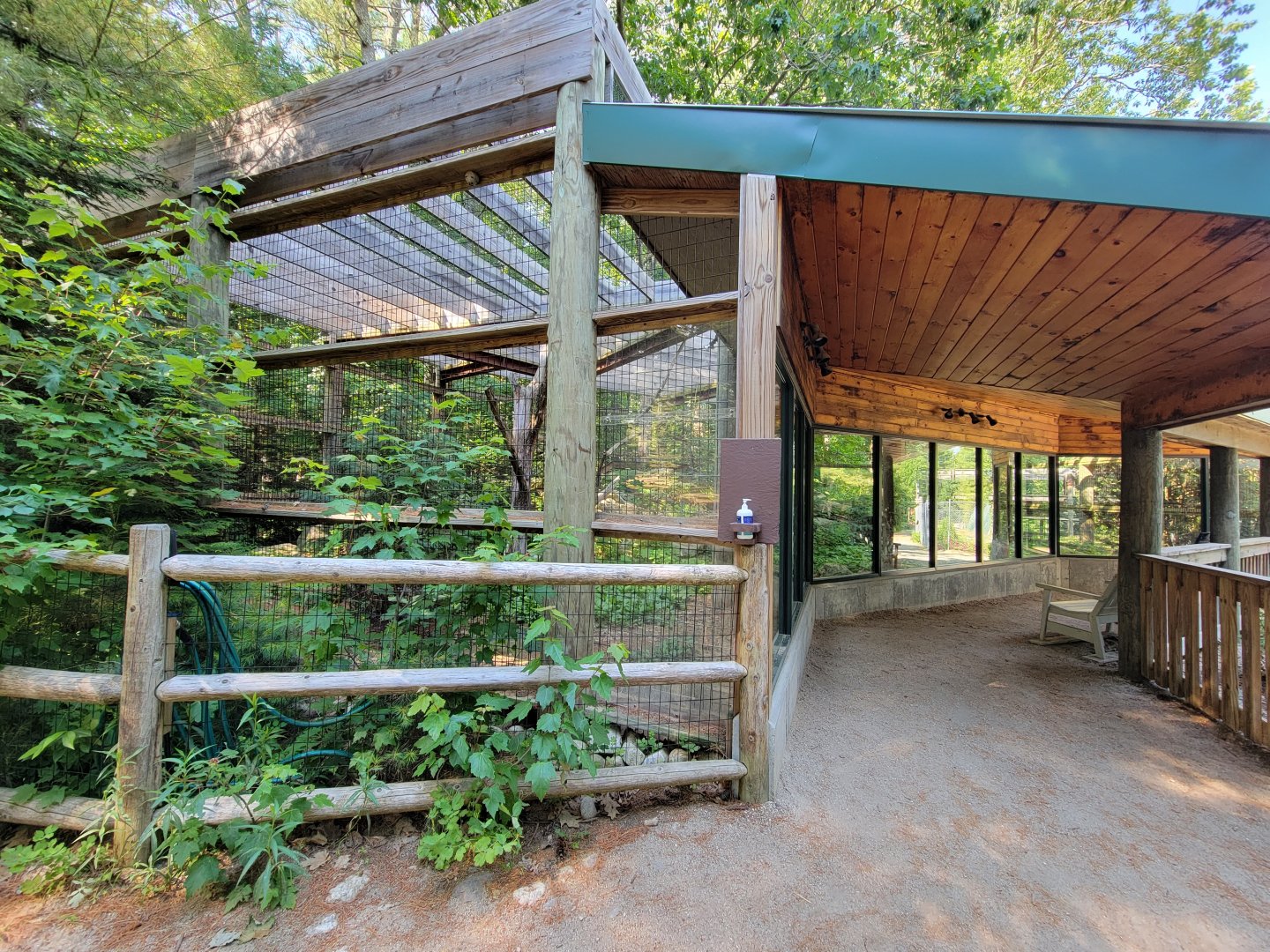 Maine Wildlife Park - Canada Lynx