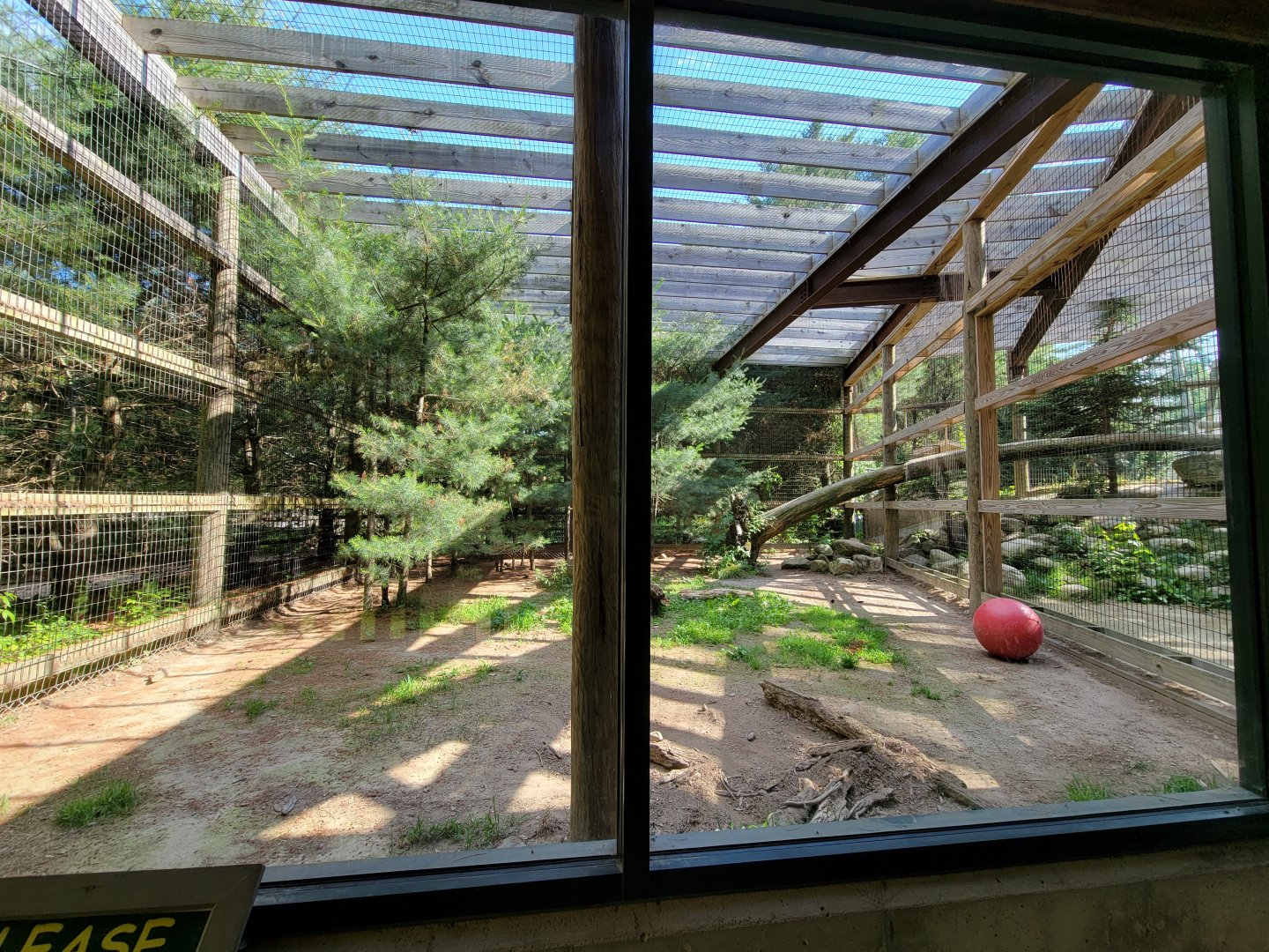 Maine Wildlife Park - Cougars, left side